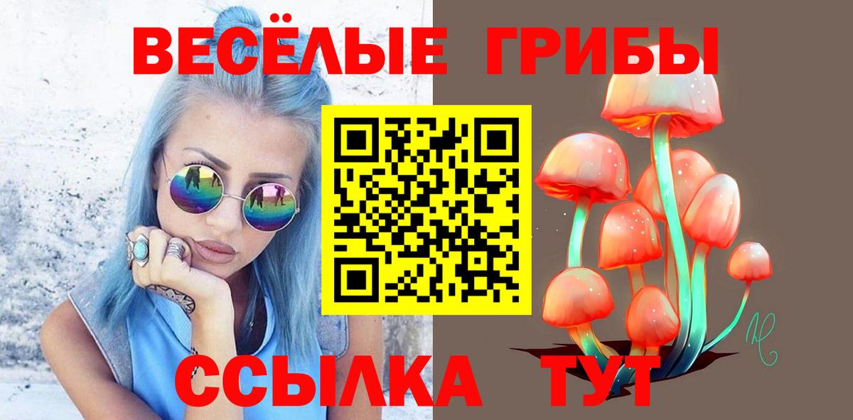 Галлюциногенные грибы мицелий Гай